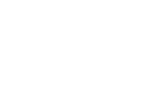 GeoSkills logo vit 1 M webb